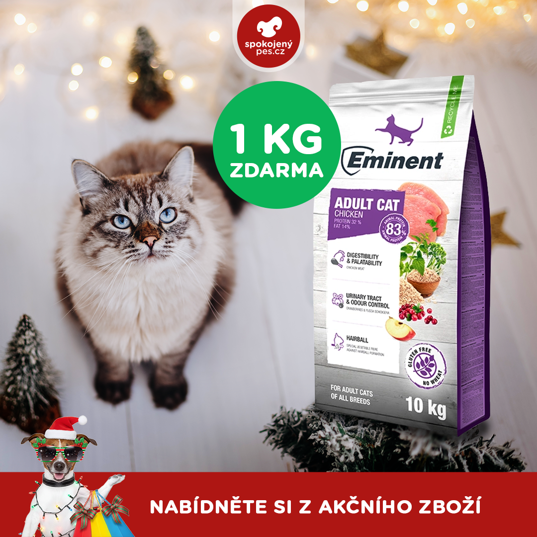 akční prosinec_kočka5.png